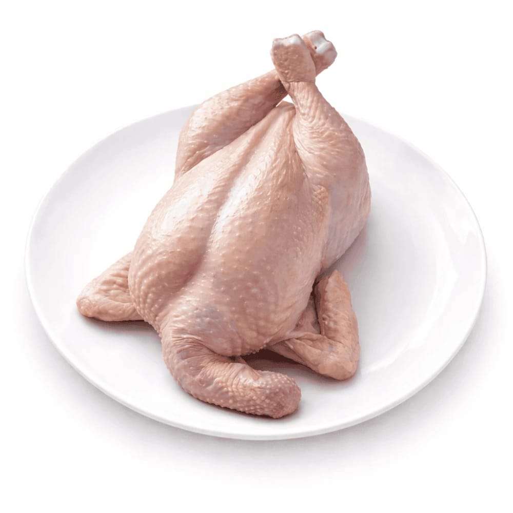 LIVE CHICKEN SMALL WITH SKIN
